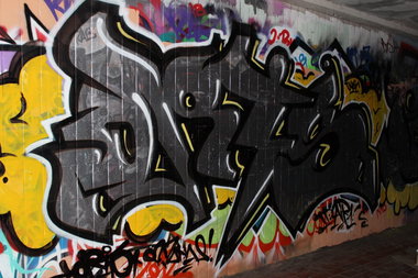 Graffiti Bombing - Photo by 1one9 - oris, wsc (2013)