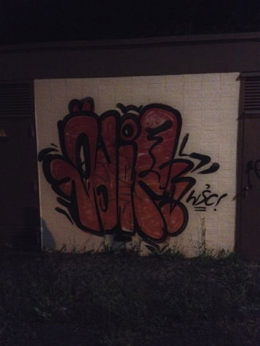 Graffiti Bombing - Photo by 1one9 - Ödip, WSC