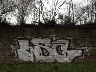 Graffiti Bombing - Photo by 1one9 - wsc