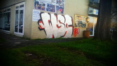 Graffiti Bombing - Photo by 1one9 - wsc