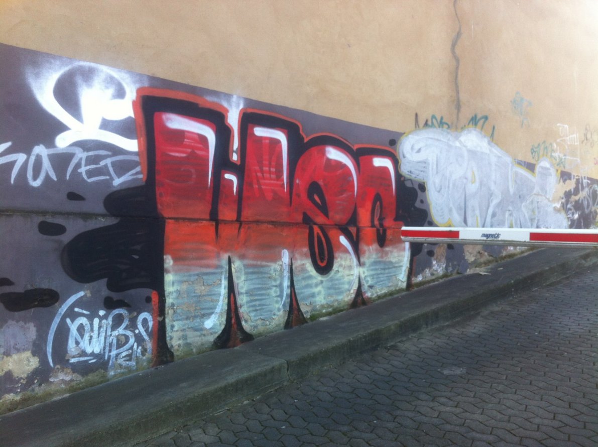 Graffiti Bombing - Photo by 1one9 - WSC