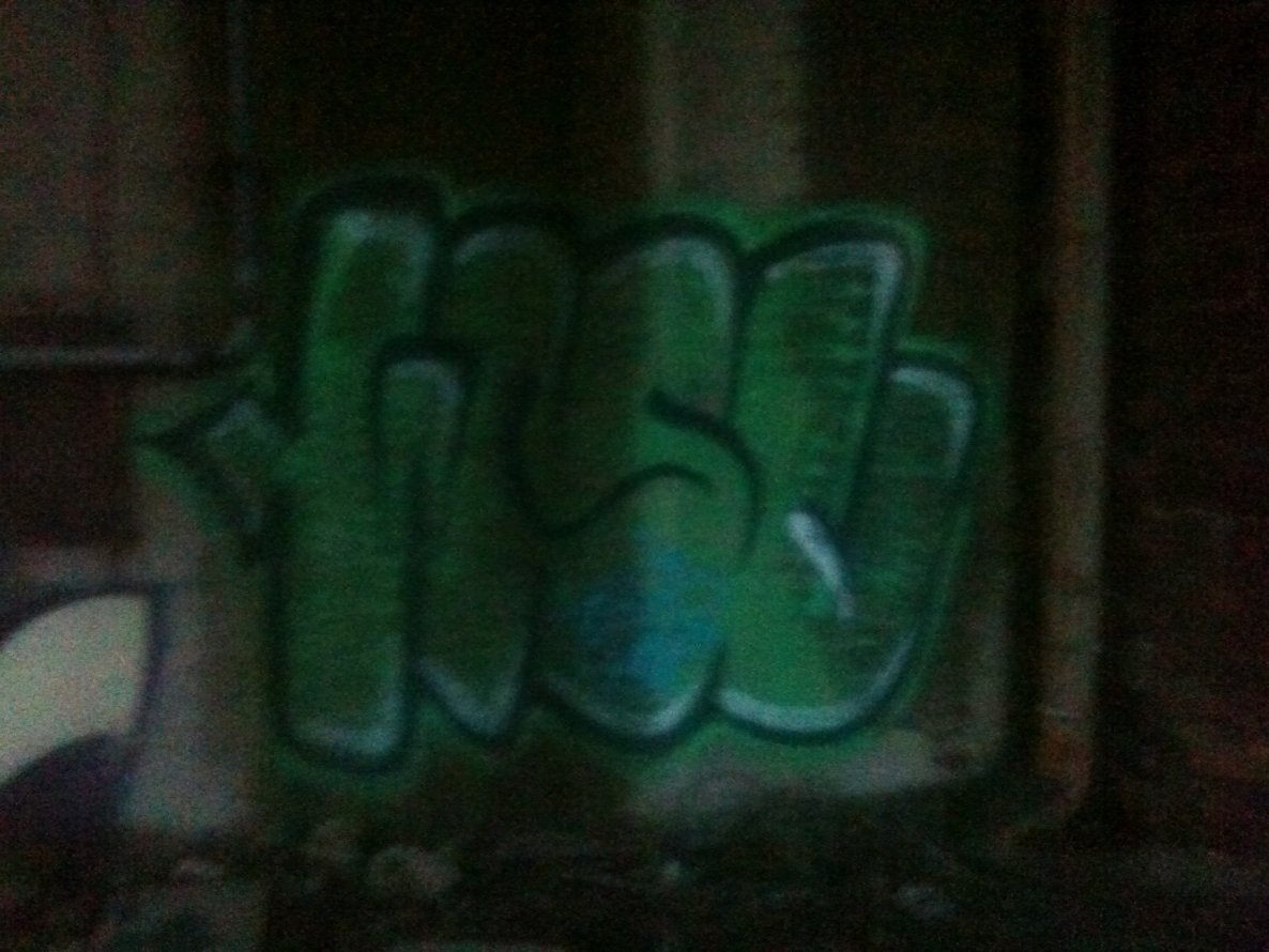 Graffiti Bombing - Photo by 1one9 - wsc