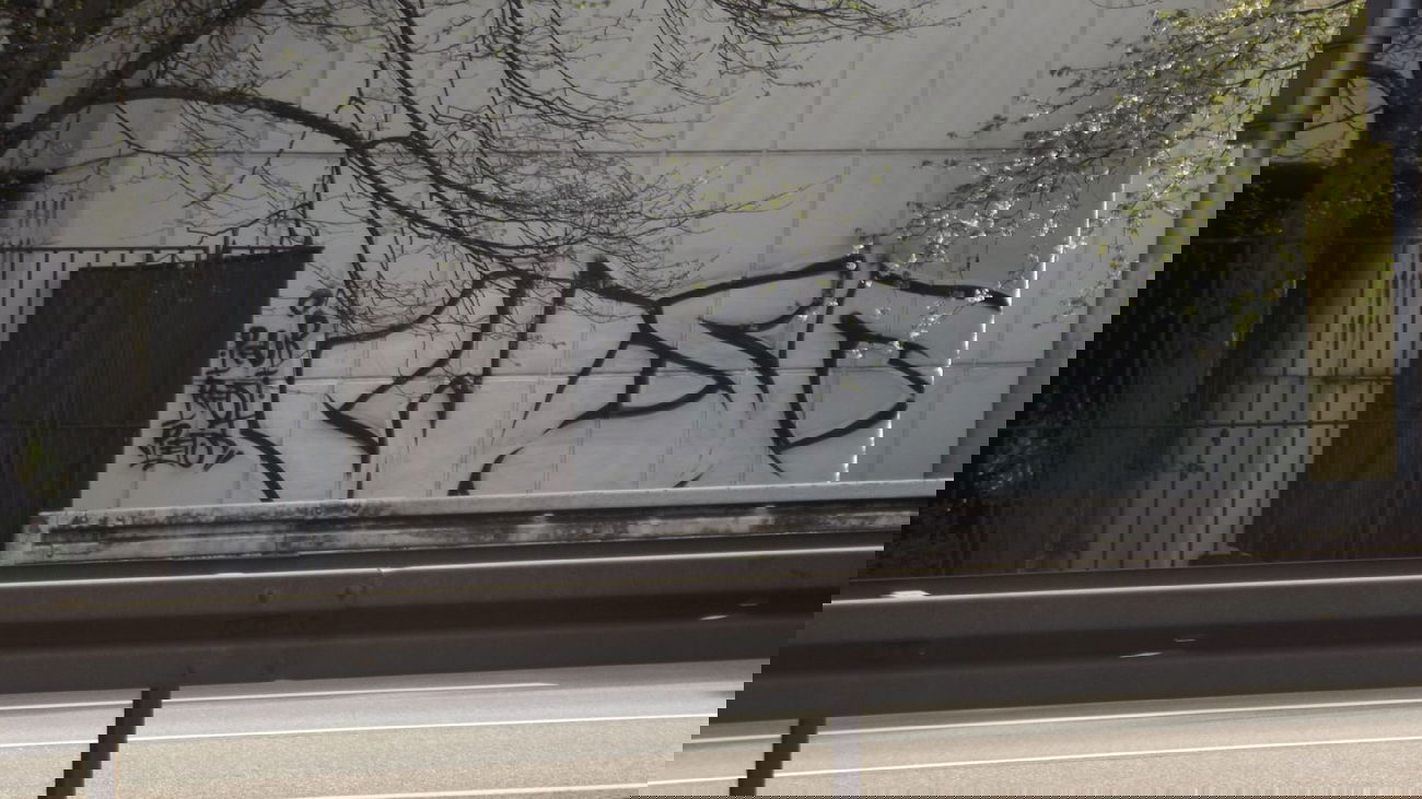 Graffiti Bombing - Photo by 1one9 - WSC