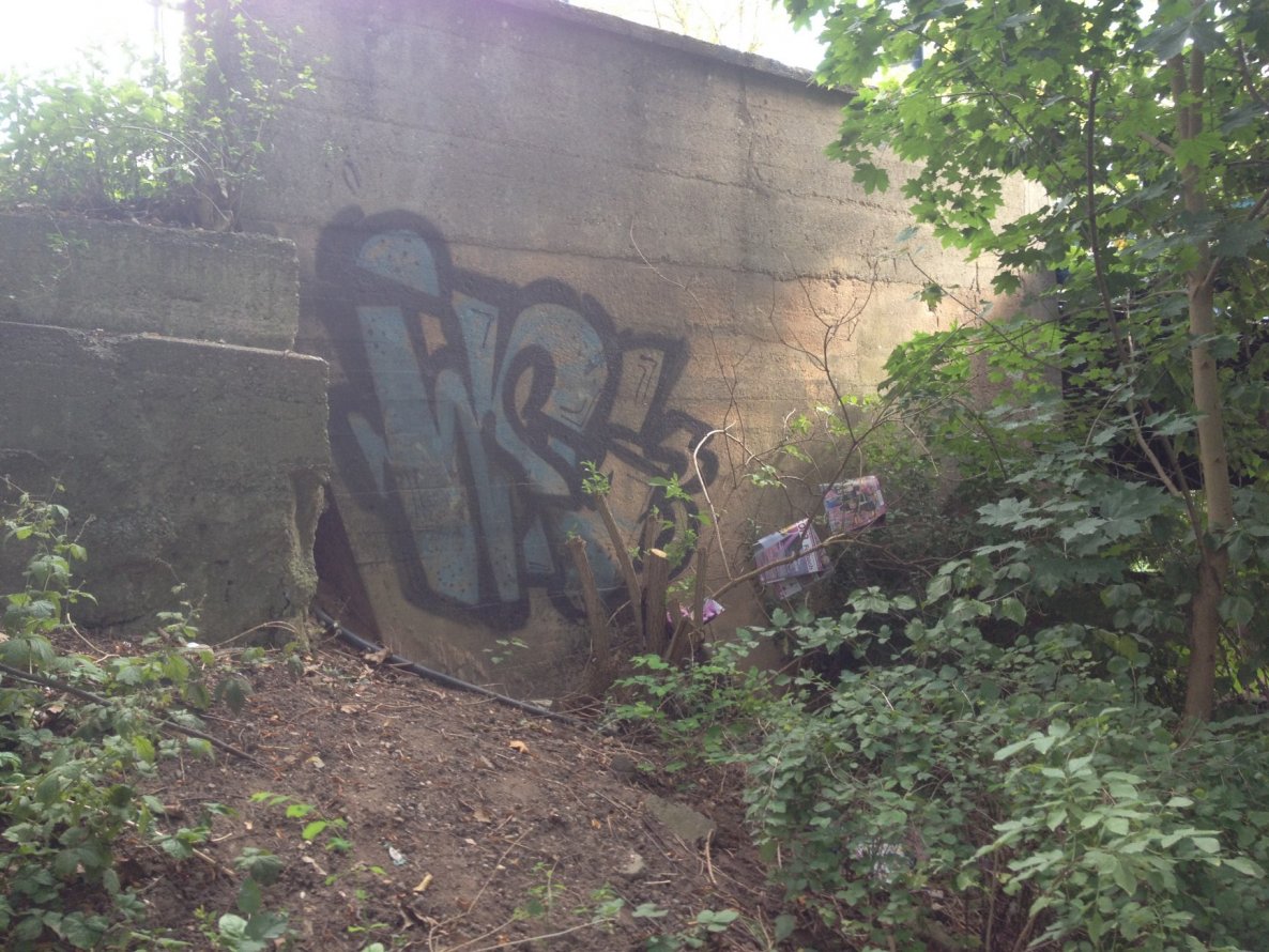 Graffiti Bombing - Photo by 1one9 - wsc