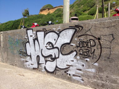 Graffiti Bombing - Photo by 1one9 - WSC