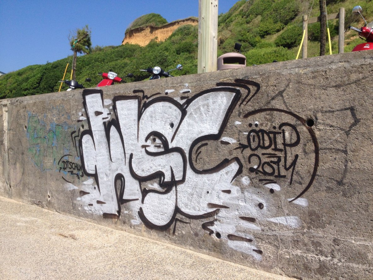 Graffiti Bombing - Photo by 1one9 - WSC