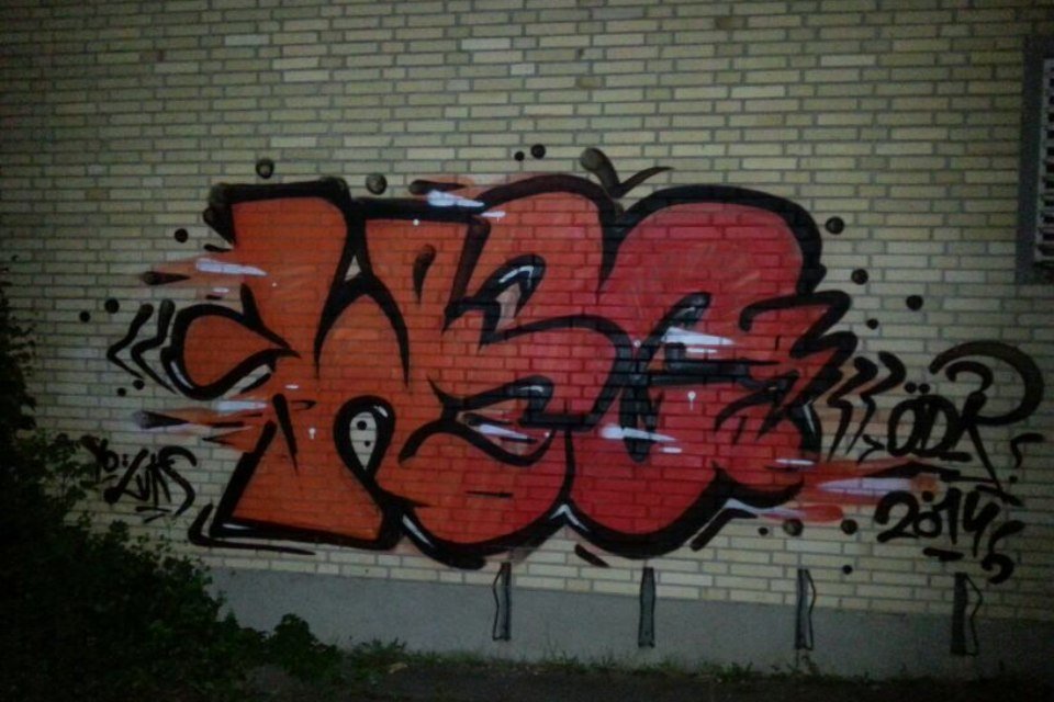 Graffiti Bombing - Photo by 1one9 - WSC