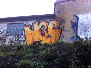 Graffiti Bombing - Photo by 1one9 - WSC