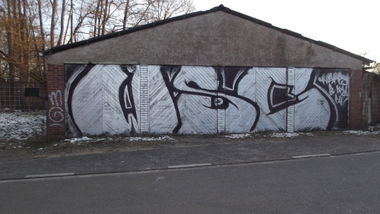 Graffiti Bombing - Photo by 1one9 - WSC