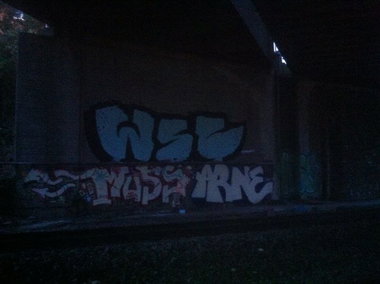 Graffiti Bombing - Photo by 1one9 - WSC