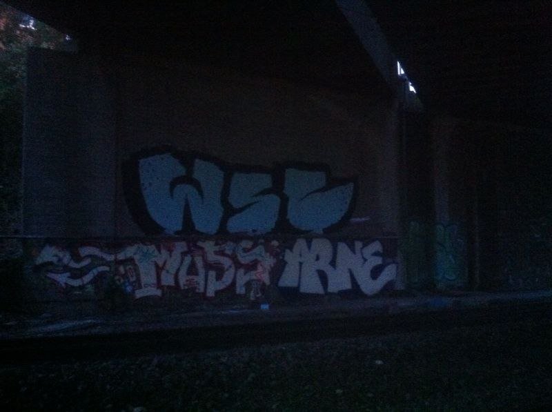 Graffiti Bombing - Photo by 1one9 - WSC