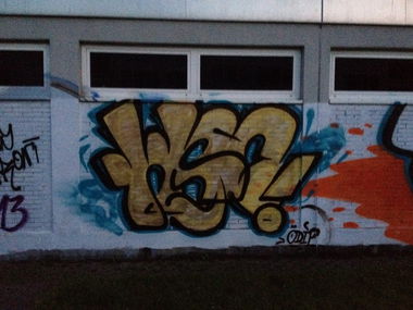 Graffiti Bombing - Photo by 1one9 - WSC