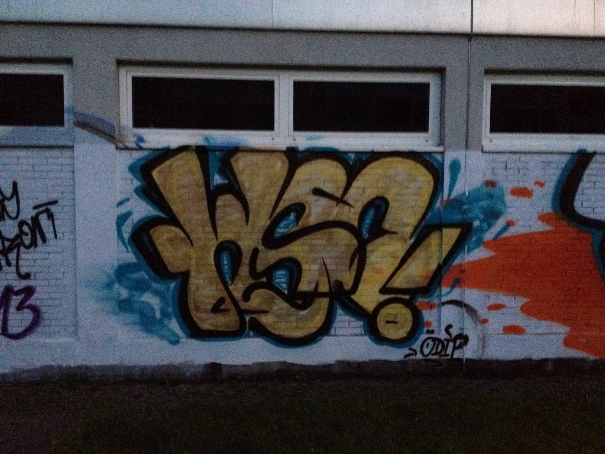Graffiti Bombing - Photo by 1one9 - WSC