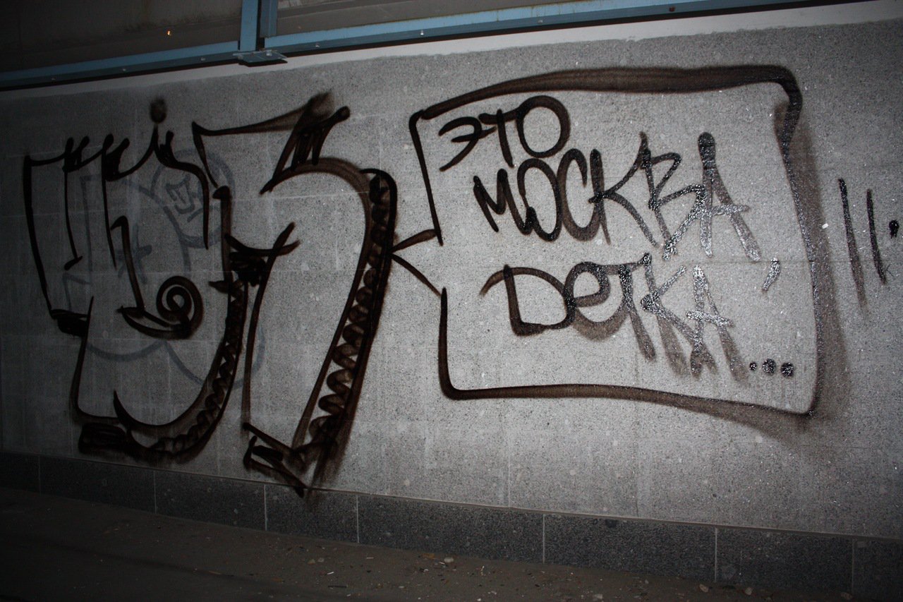 Graffiti Bombing in Moscow - Photo by 1sek - 495 (2011)