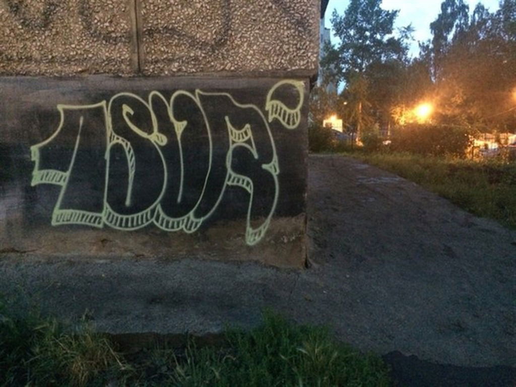 Graffiti Bombing in Российская Федерация - Photo by 1sur (2016)