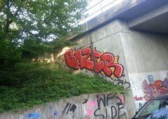 Photo #192161 by TagHagel