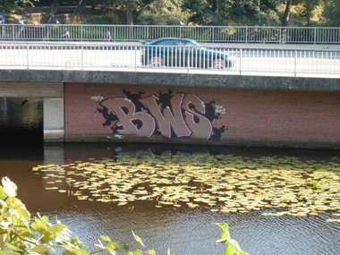 Graffiti Wall - Photo by 216 - BWS, Poesy, Poezy