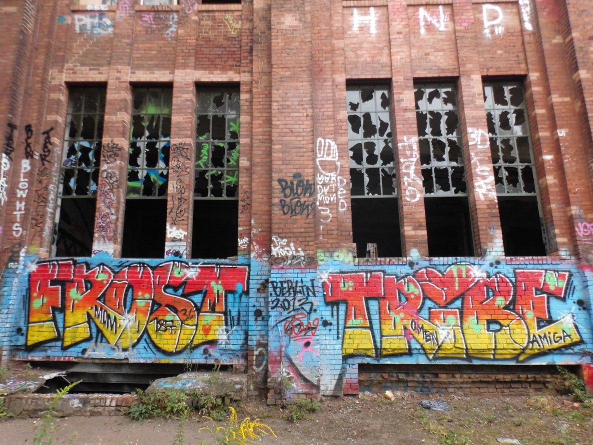 Graffiti Wall in Germany - Photo by 216 - Frost, Tribe, 187 (2913)