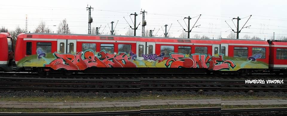 Graffiti Train - Photo by 216 - Poesi, Poezy, Poesy
