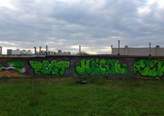 Photo #222146 by UNCNT