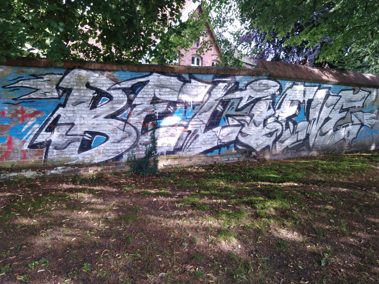 Graffiti Wall - Photo by 26725 - aurich, BELIEVE