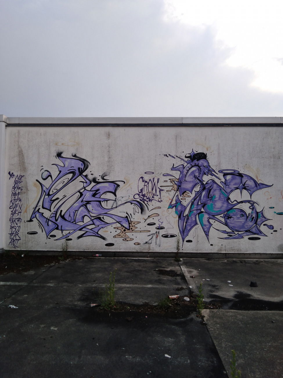 Graffiti Wall - Photo by 26725 - ples, aurich, throwup