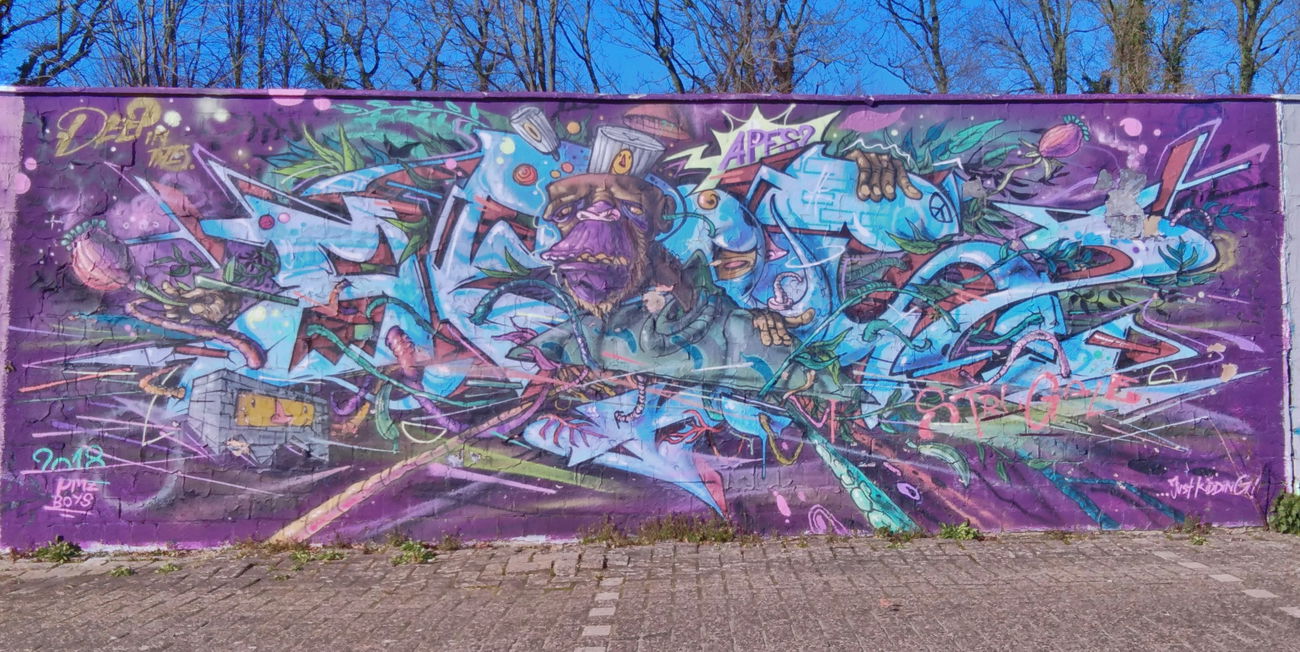 Graffiti Wall - Photo by 26725 - ap2be, ples, apes