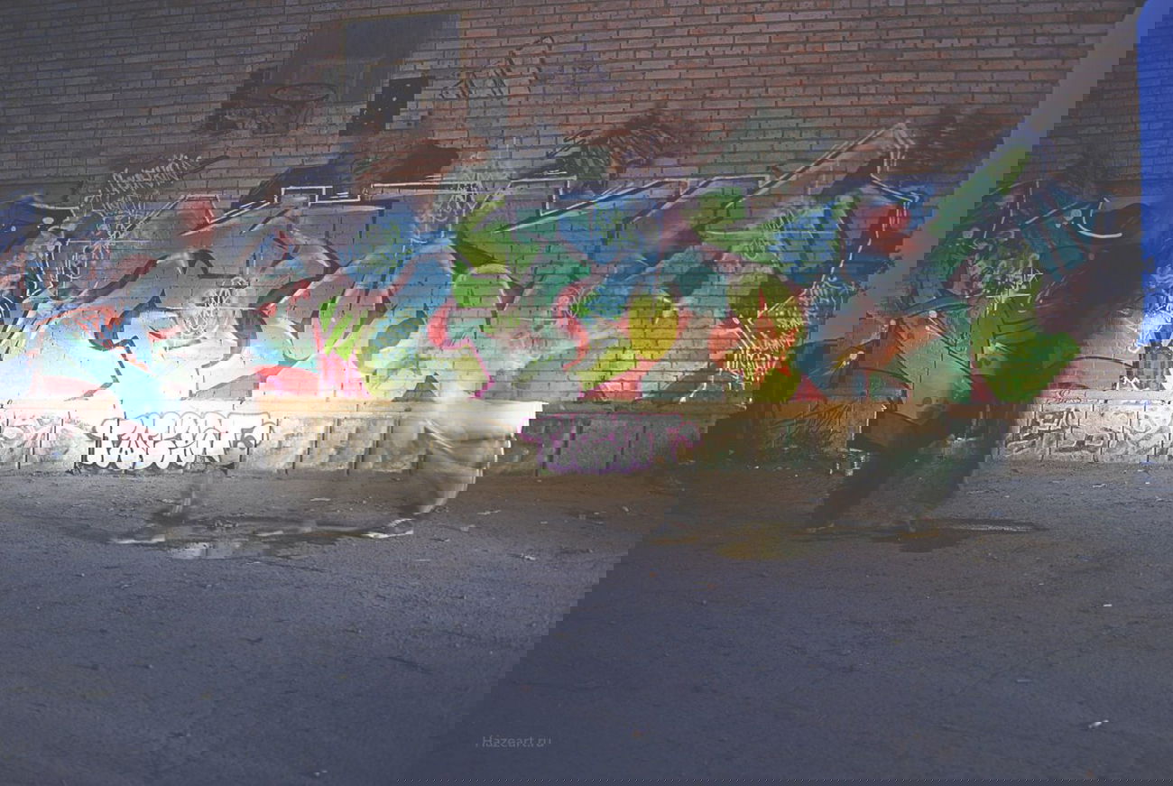 Graffiti Wall - Photo by 2ManHazeOne - 2man (2014)