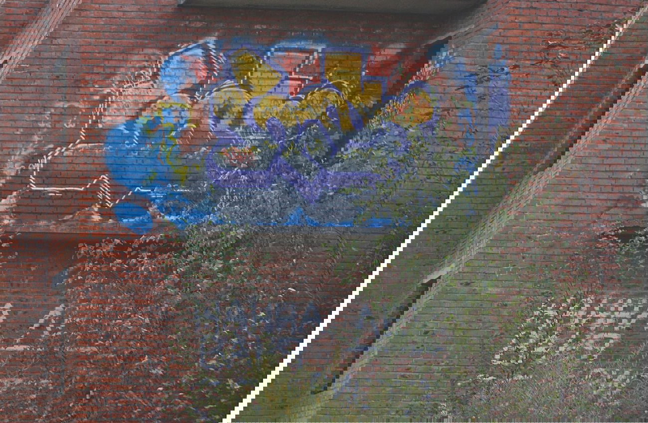 Graffiti Wall - Photo by 2ManHazeOne - 2man (2014)