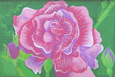 Graffiti Wall - Photo by 2ManHazeOne - 2man (2014)