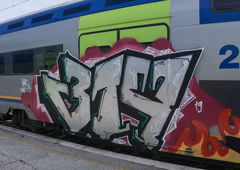 Photo #229556 by koal