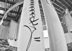 Photo #90975 by alcer