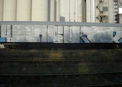 Photo #86636 by Nets1