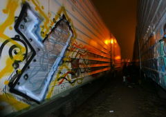 Photo #86641 by Nets1