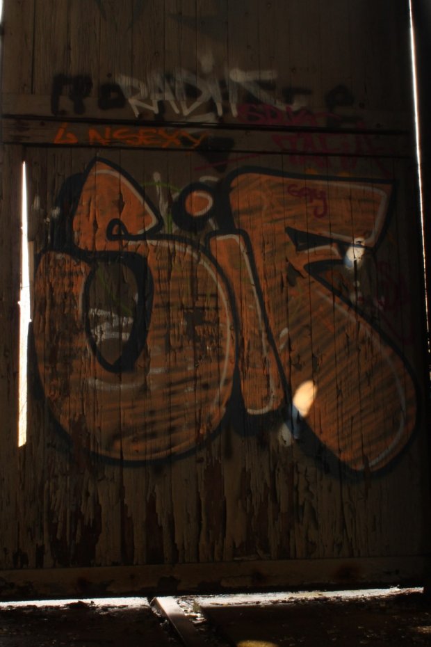 Graffiti Bombing - Photo by 505er - sif