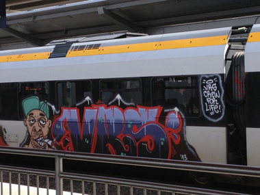 Graffiti Train - Photo by 505er - VRS