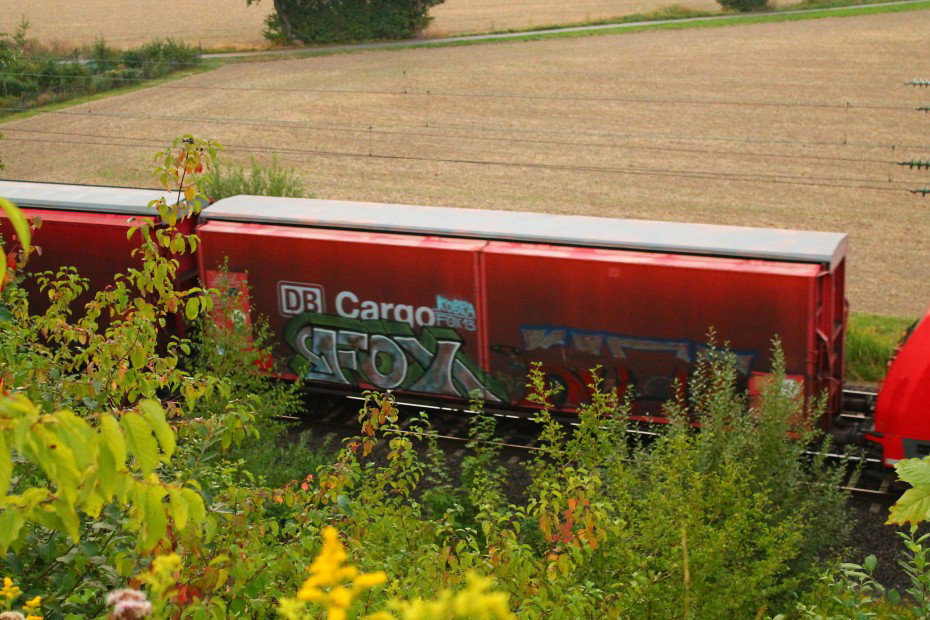 Graffiti Train - Photo by 505er - Fox