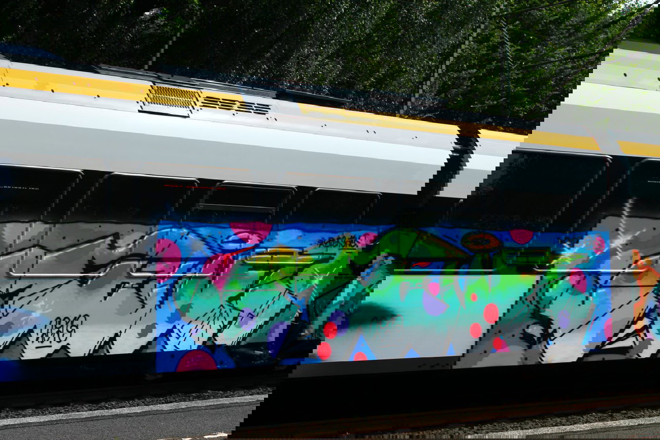 Graffiti Train - Photo by 505er - Move