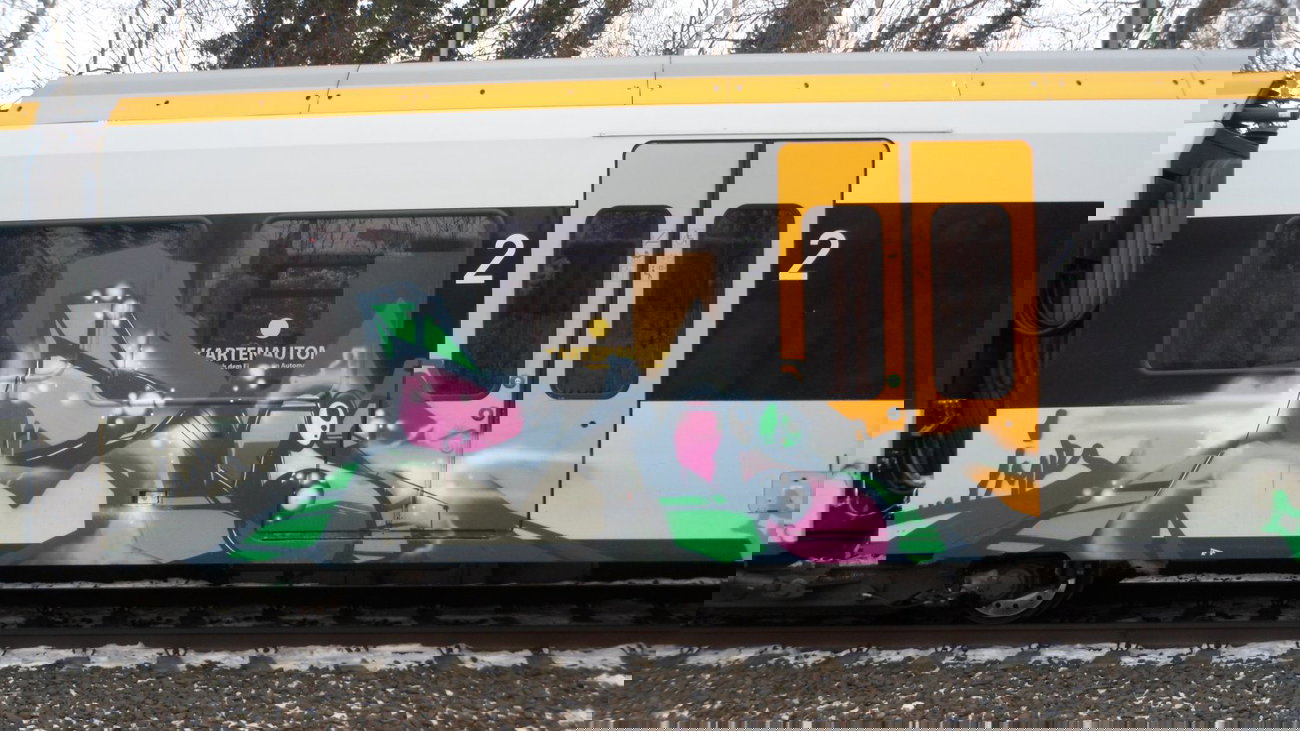 Graffiti Train - Photo by 505er - Rois