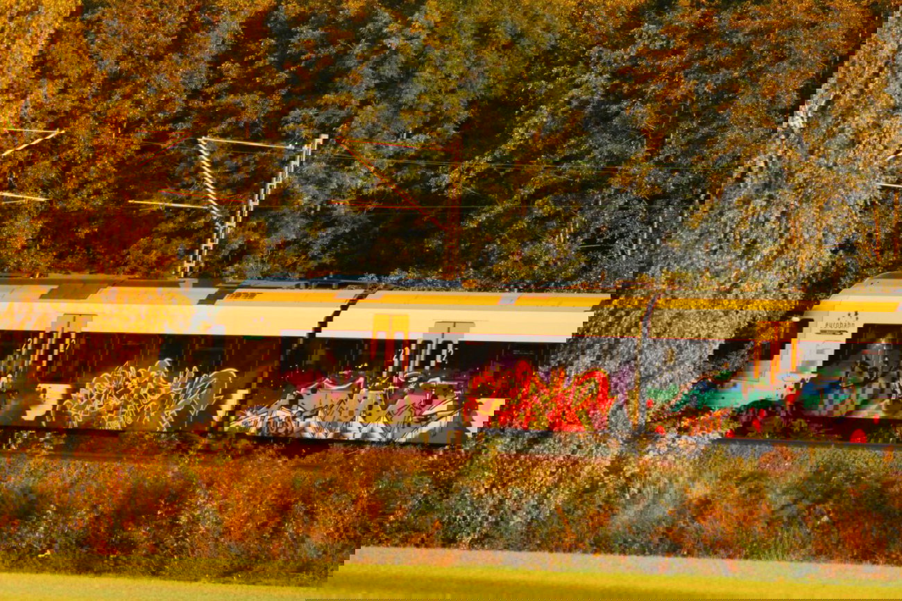 Graffiti Train - Photo by 505er - Rois, Mask, Move