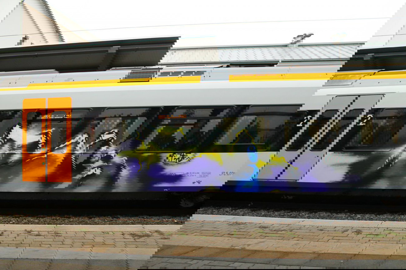 Graffiti Train - Photo by 505er - Rois