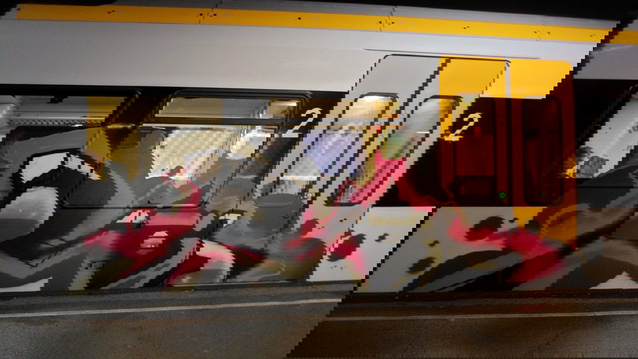 Graffiti Train - Photo by 505er - Rois