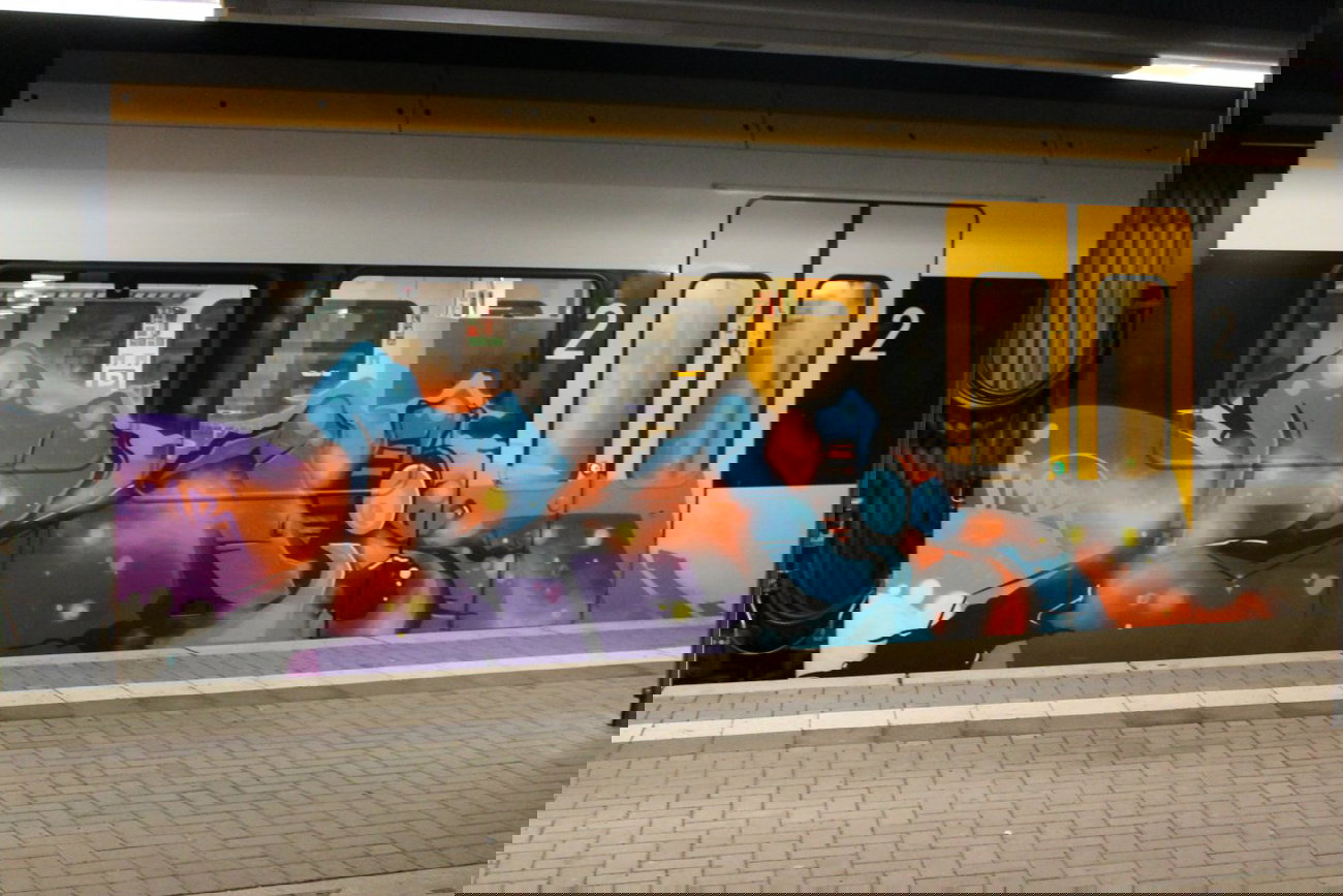 Graffiti Train - Photo by 505er - Rois, imr