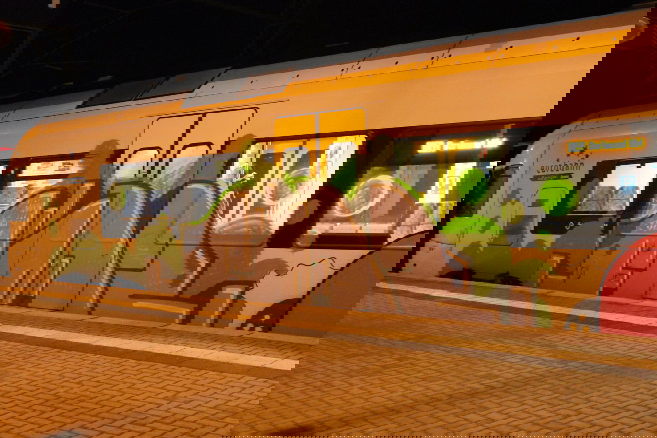 Graffiti Train - Photo by 505er - Fönz