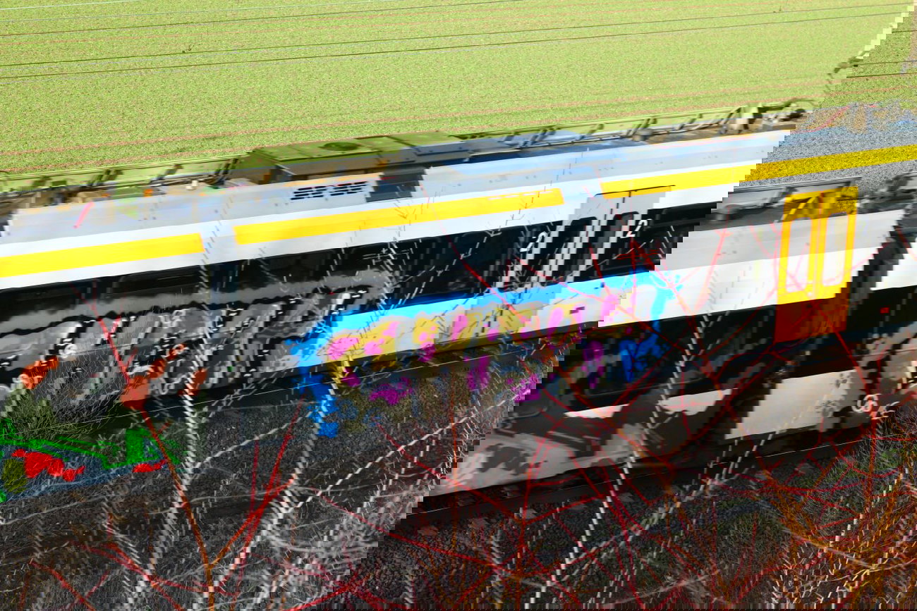 Graffiti Train - Photo by 505er - CHEAP