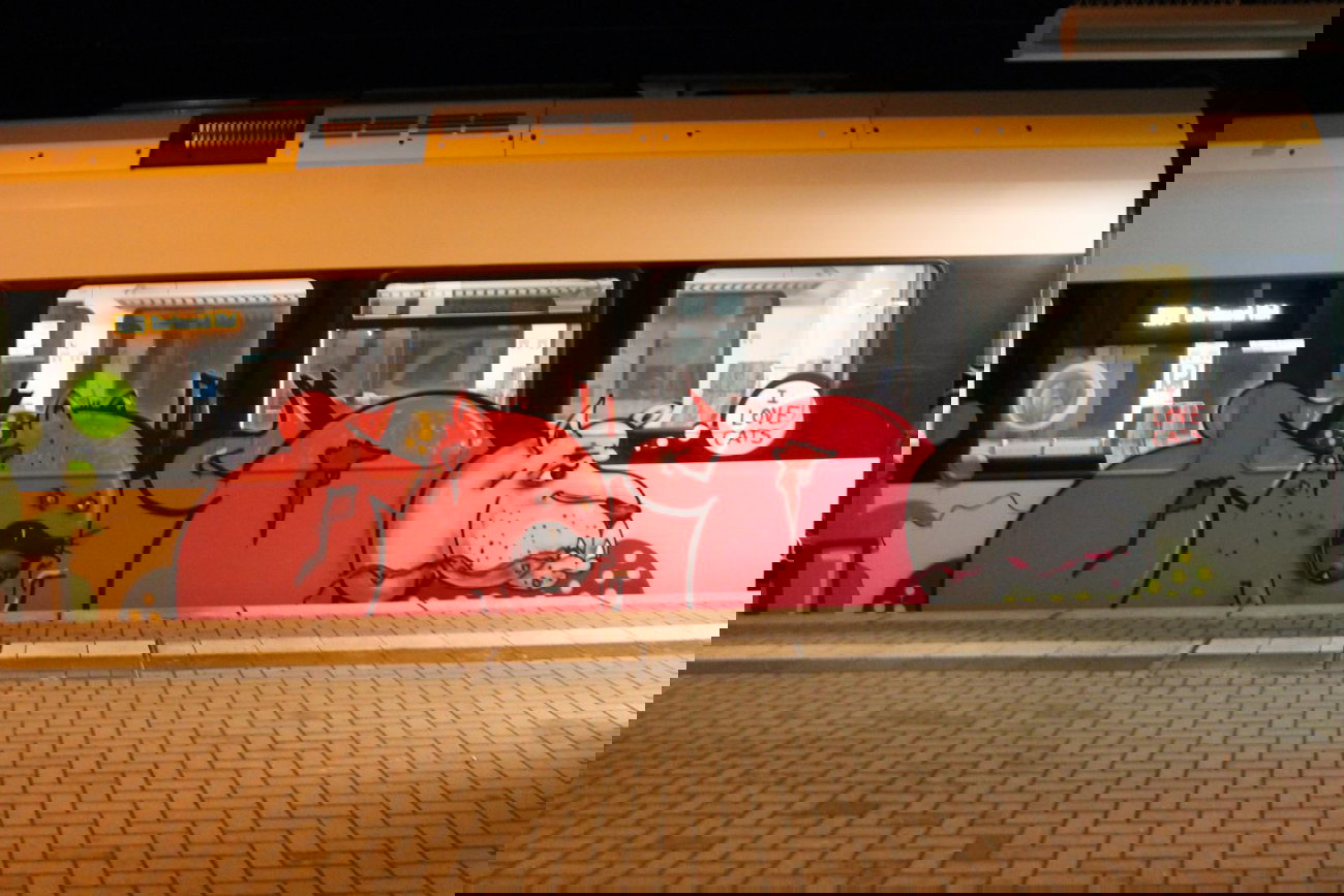 Graffiti Train - Photo by 505er - Föns