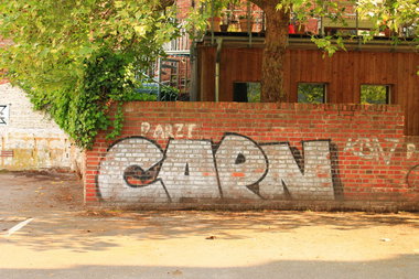 Graffiti Bombing - Photo by 505er