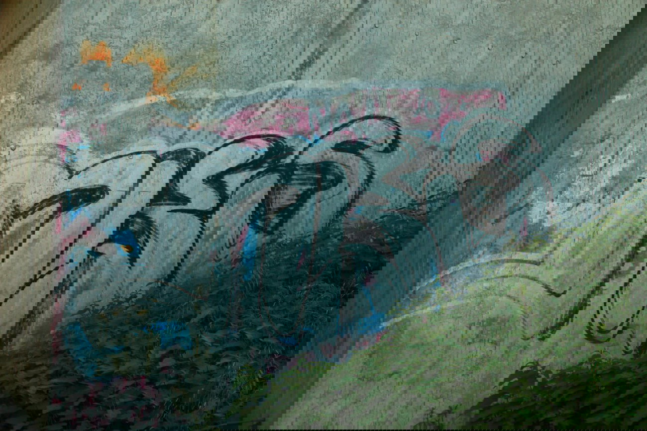 Graffiti Bombing - Photo by 505er - mks