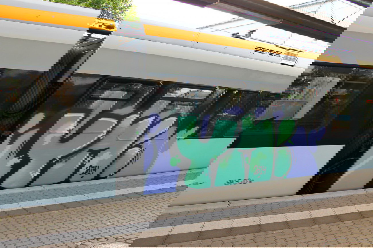 Graffiti Train - Photo by 505er