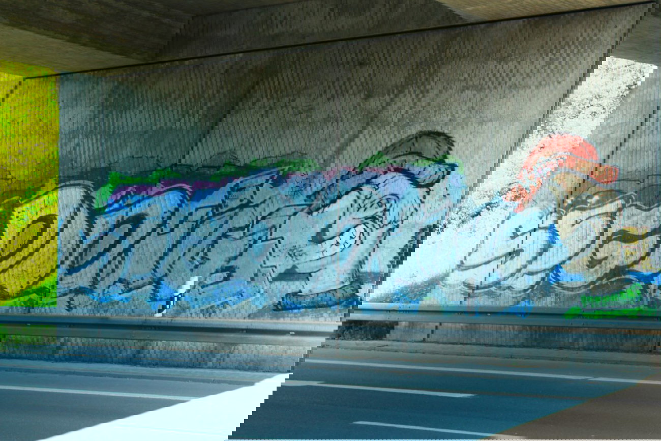 Graffiti Bombing - Photo by 505er - seg, dna, higs